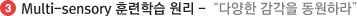 Multi-sensory 훈련학습 원리 -“다양한 감각을 동원하라”